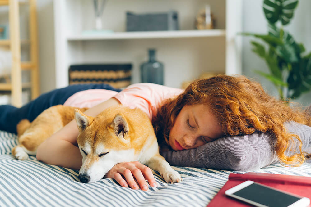 How Does Sleeping With Pets Affect Your Sleep?